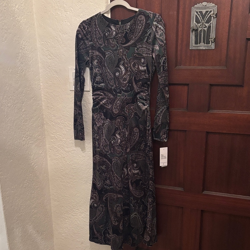 Long Sleeve Paisley Velvet Midi Dress in Green and Black
